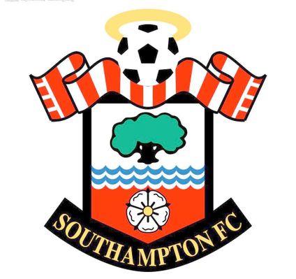 赛车手林某 赛车手林某