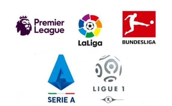 组委会的举 组委会的举